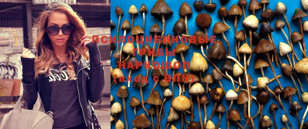 винт Бронницы
